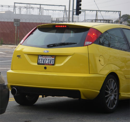 Yellow and stunning!